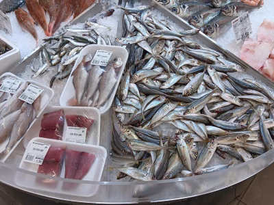 whatsapp-image-2025-07-03-at-09.29.51