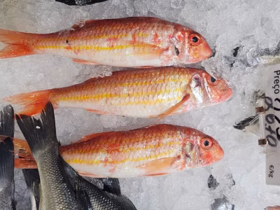 whatsapp-image-2025-07-03-at-11.33.17-8