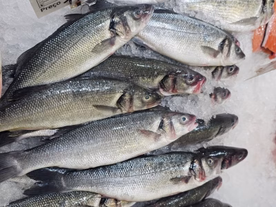 whatsapp-image-2025-07-03-at-11.33.18-1